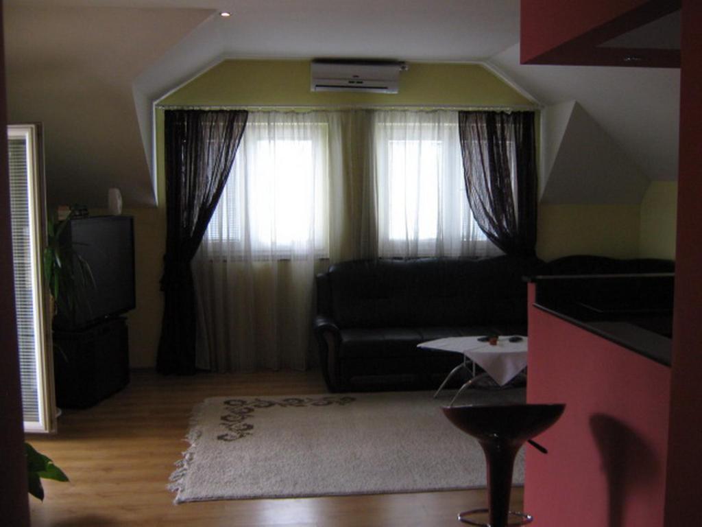 Villa Elena Belgrad Rum bild